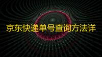 京东快递单号查询方法详解：如何迅速掌握物流信息